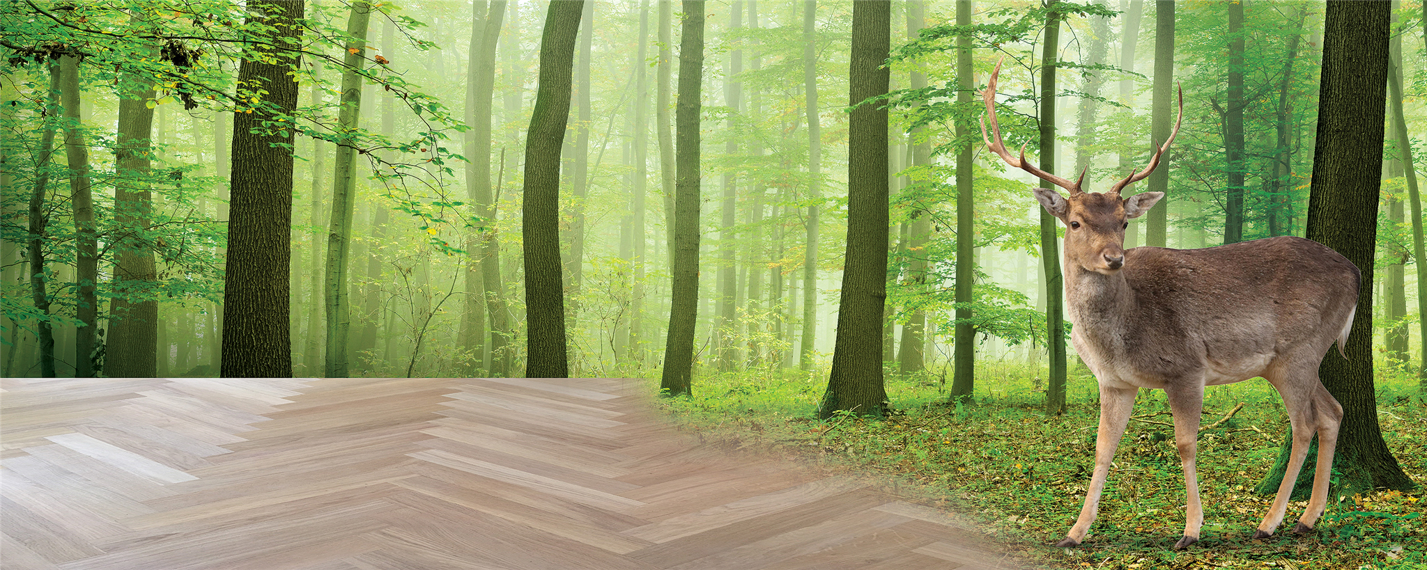 Alpo group quality floors - naturen i dit hjem med flotte kvalitets trægulve